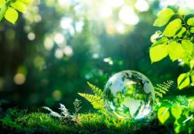 Début de la Quinzaine de l’environnement