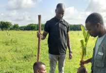 Reboisement : SAM-TOGO encourage la campagne nationale avec des actions concrètes
