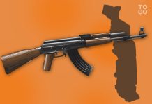 La CNLPAL participe à rendre le Togo plus paisible et sûr