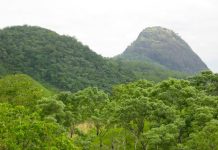Environnement : bientôt un suivi plus attentif des périphéries des aires protégées au Togo