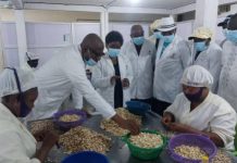 Commerce : Ros Kayi Mivedor visite une usine de Cajou à Sokodé