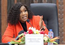 IDH : Sandra Johnson présente les facteurs explicatifs des performances du Togo aux médias