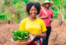 Togo : les activités des producteurs agricoles prospèrent