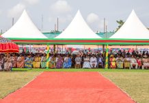 Fêtes traditionnelles : le Grand Lomé a célébré Dunenyo Zã