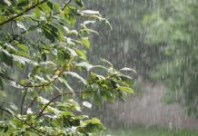 Alerte : de fortes pluies annoncées de septembre à novembre