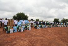 FSRP-Togo : les producteurs de riz, maïs, soja et niébé touchés