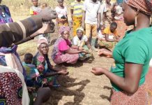 Sécurité alimentaire : 10 000 maraîchers bénissent le ProsMAT