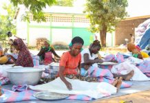 FSRP-Togo : 30 000 producteurs agricoles bénéficient de l’aide