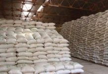 Sécurité alimentaire : le Togo bénéficie d’un don d’engrais du Japon