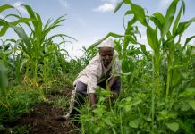 Secteur agricole : vers un meilleur traitement des réclamations