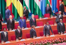 FOCAC2024 : les entreprises chinoises vont investir près de 100 milliards yuans RMB en Afrique