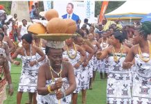 Fête traditionnelle : Agbogbozan 2024 célébrée avec éclat à Notsè