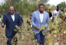 Agriculture : les rêves se réalisent au Togo