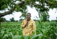 L’Inseed recrute des agents de terrain pour le 5ème recensement agricole