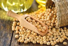 Démarrage de la campagne de commercialisation du Soja