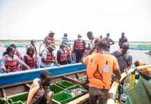 Pêche : une nouvelle stratégie de développement pour le secteur qui emploie 22 000 personnes
