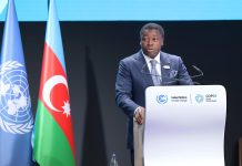 COP29 : “le Togo est prêt à faire sa part”, Faure Gnassingbé