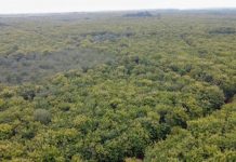 Environnement : le Togo dédie une semaine aux aires protégées