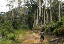 Le Togo s’offre de bons moyens de protection de l’environnement
