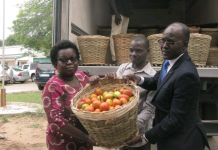Au Togo, l’agriculture crée de la richesse