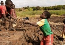 Lutte contre le travail des enfants : les USA saluent les efforts du Togo
