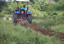 Le Togo veut améliorer ses performances agricoles