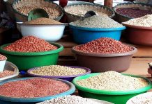 Togo : 190 milliards FCFA tout frais pour les filières soja et maïs