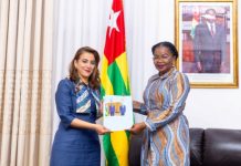 Élections à la Commission de l’UA : l’Egypte en campagne au Togo