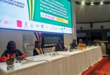Togo : validation d’une synergie d’actions autour de la mobilisation des ressources du PAGE 2023-2027