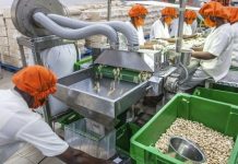 Togo : les résultats de l’aménagement du pôle agro-industriel