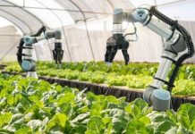 Diffusion des technologies : des milliers d’agriculteurs concernés par l’initiative