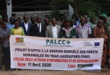 Togo : AGEDUFORD-TOGO, un projet pour renforcer la gestion durable des forêts domaniales