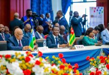 Le Togo, un acteur incontournable de la Francophonie parlementaire en Afrique
