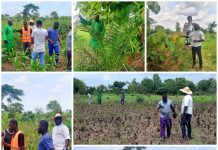 Lancement du projet Agro Wola-do : quand l’art martial devient acteur du développement agricole à Bagbé