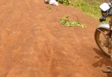 Drame routier entre Akaba et Assouma Kopé