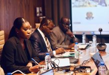Dynamique économique au Togo : les entreprises en confiance, l’industrie en plein essor