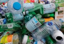 Entrepreneuriat vert : lancement d’une formation gratuite en recyclage pour les jeunes