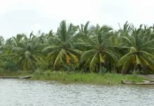Une concertation stratégique pour une gestion durable du bassin du Mono