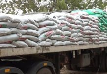 Togo 2025 : le gouvernement mobilise 60 milliards FCFA pour ce secteur