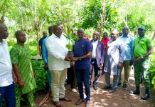 Lancement de la 8e campagne nationale de distribution de jeunes plants de caféiers et cacaoyers