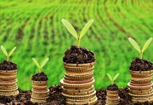 Climat : le Togo mise sur les obligations vertes pour financer sa résilience