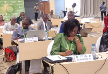Lomé capitale Ouest-africaine de la lutte contre les risques agricoles