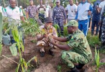 Journée de l’arbre : Haho mobilisé pour reverdir son territoire