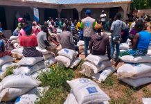 Sécurité alimentaire : la FAO et l’UE au chevet de 1 000 petits producteurs de Kara