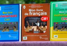 Éducation : Lomé accueille les RARE, la France salue l’engagement du Togo