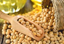 Le Togo vise 500 000 tonnes de soja dès 2026