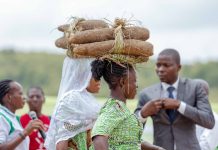 ODON-ITSU 2025 : L’igname en fête, le Togo en liesse