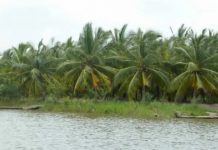 Mono : Togo et Bénin s’accordent sur une gestion commune de l’eau