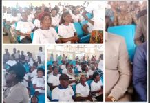 Togo : la nation célèbre ses volontaires, héros discrets du développement