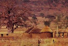 L’ANIAC mise sur la prévention chimique dans les Savanes en 2026